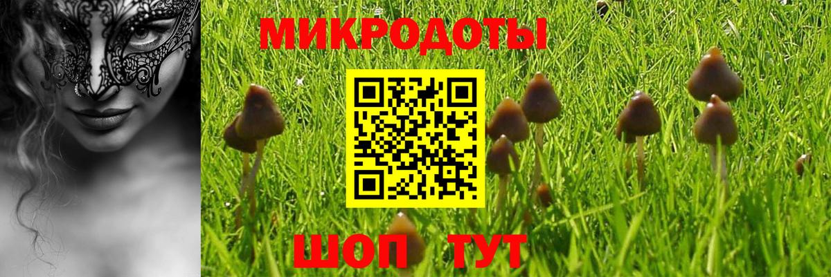 Псилоцибиновые грибы прущие грибы  Вход с VPN  Саянск  Псилоцибиновые грибы прущие грибы 